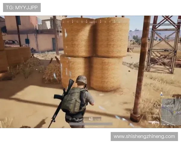 LinShu绝地求生高燃操作与精彩对局全程解析揭秘