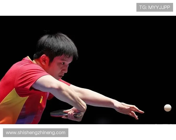 樊振东奋力拼搏展国乒雄风以坚定信念书写乒坛传奇新篇章