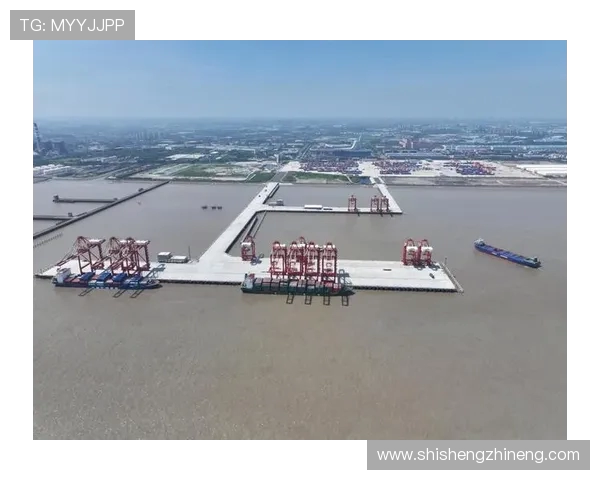 上海海港发展与未来战略探索：推动国际航运中心建设与区域经济协同发展