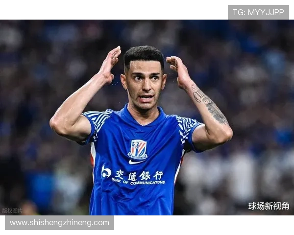 上海申花新篇章：重振旗鼓再创辉煌 迎接中超新挑战