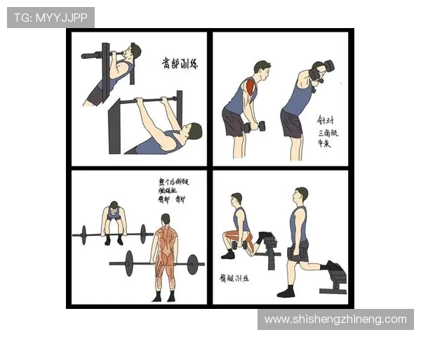 全面提升体能与塑形效果的高效科学健身训练全攻略