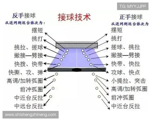 乒乓球技巧与战术解析：从基础到进阶全面提升你的比赛水平
