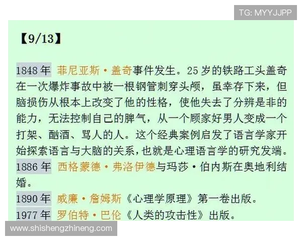 从惊险到优雅探秘跳水运动中的力量美与心理博弈