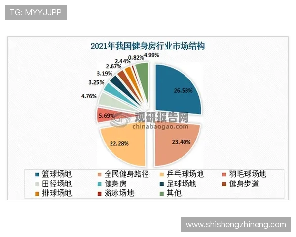 武汉篮球队技术分析与战术创新的深度探讨与展望