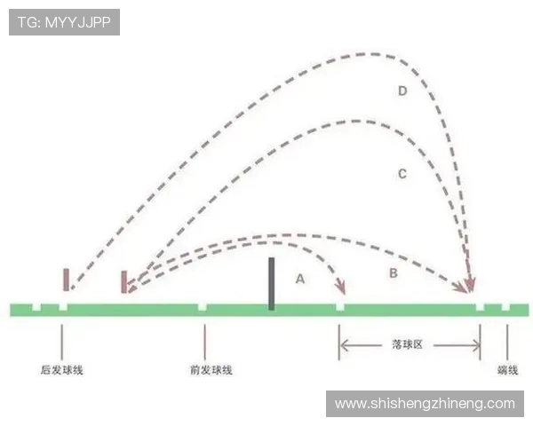 乒乓球全方位指导:技术、训练、策略与比赛解析