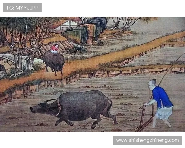 亚当斯的传奇人生与影响力探讨:从历史到现代的深远启示