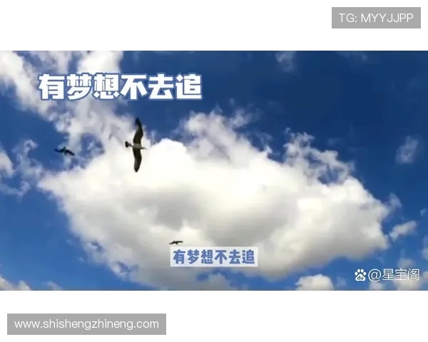 何思雨:在风雨中绽放的坚韧与勇气的故事 何思雨:在风雨中绽放的坚韧与勇气的故事